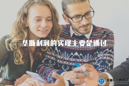 壟斷利潤的實現主要是通過（壟斷利潤的實現主要依靠什么途徑）