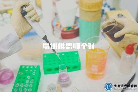 培訓雅思哪個好（4家專業的雅思培訓機構）