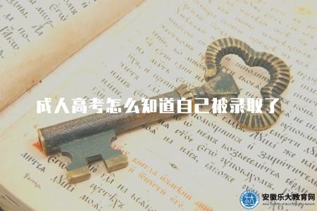 成人高考怎么知道自己被錄取了（12月份登錄考試院網站查詢）