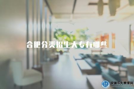 合肥分類招生大專有哪些(有八個) 合肥分類招生大專有哪些(有八個)