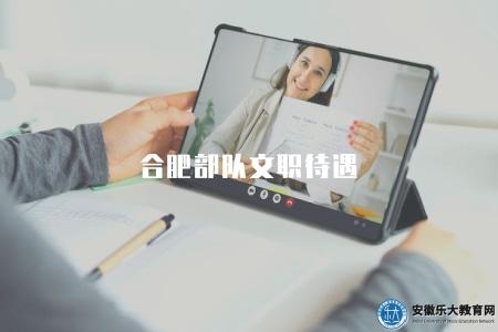合肥部隊文職待遇（包括基本工資、津貼、補貼和其他福利）