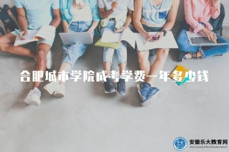 合肥城市學院成考學費一年多少錢（學費根據報考專業和學校而定）