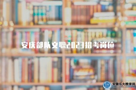 安慶部隊文職2023招考崗位（三大類崗位）