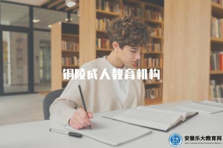 銅陵成人教育機構（有三個）