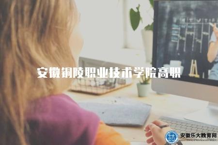 安徽銅陵職業技術學院高職（有六大專業）