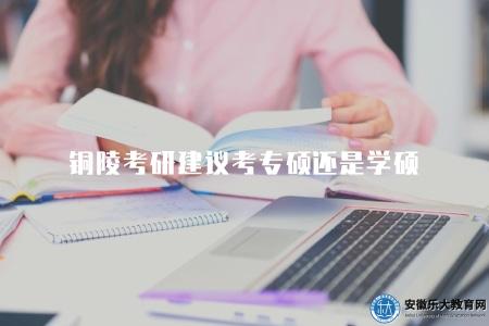 銅陵考研建議考專碩還是學碩（給出銅陵考研建議，是選擇專業學位碩士還是學術型碩士）