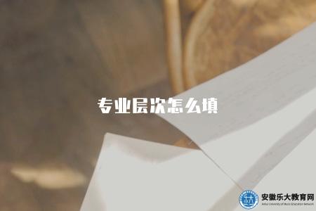 專業層次怎么填（填報專業層次時的指南與建議）