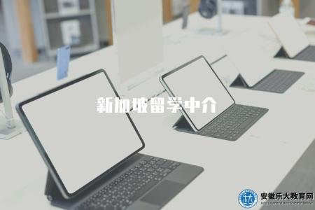 新加坡留學中介（選擇合適的新加坡留學中介的5點建議）