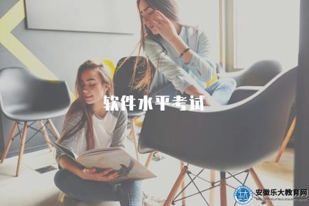 軟件水平考試（報名攻略及考試大綱）