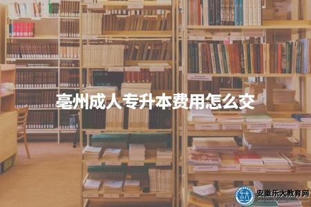 亳州成人專升本費用怎么交（大概需要多少錢）