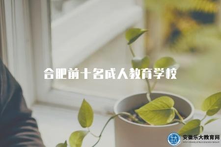 合肥前十名成人教育學校（揭秘合肥成人教育領域的佼佼者）