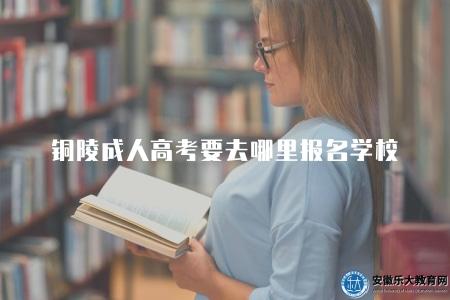 銅陵成人高考要去哪里報名學校（淮南成人高考官方網站）