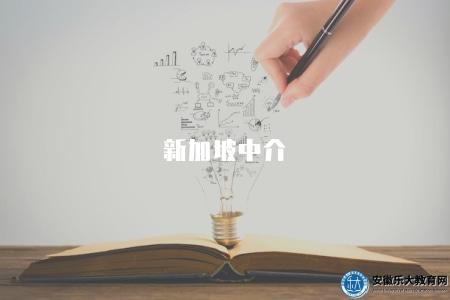 新加坡中介（專業推薦及申請流程了解）