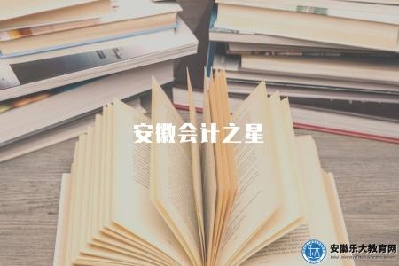 安徽會計之星（安徽省會計行業最佳人才評選）