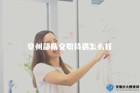亳州部隊文職待遇怎么樣（薪酬福利詳解）