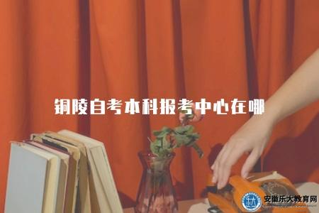 銅陵自考本科報考中心在哪（可以通過三種方式查詢）