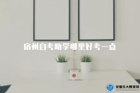 宿州自考助學哪里好考一點（推薦在宿州地區哪個機構或學校更容易獲得助學資源和考試輔導）