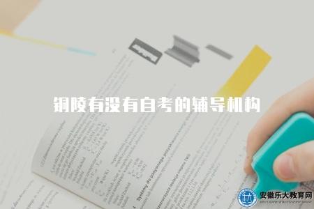 銅陵有沒有自考的輔導機構（目前沒有出現專業的自考輔導機構）