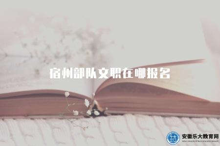 宿州部隊文職在哪報名（宿州部隊文職官網）