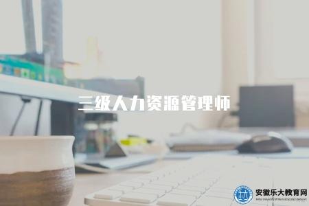 三級人力資源管理師(2023年人力資源管理師職業發展和考試準備) 三級人力資源管理師(2023年人力資源管理師職業發展和考試準備)