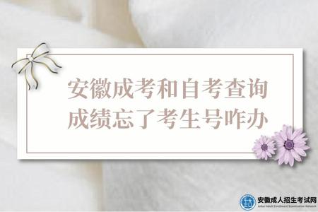 安徽成考和自考查詢成績忘了考生號咋辦（找回辦法如下）.jpg