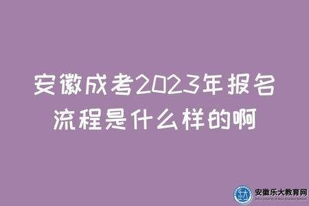 安徽成考2023年報名流程是什么樣的啊（報名確認地點）
