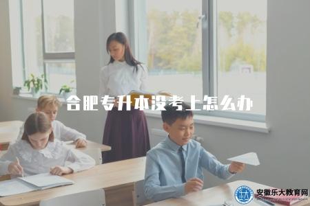 合肥專升本沒考上怎么辦（提供合肥專升本未通過考試的解決辦法）