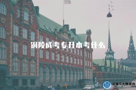 銅陵成考專升本考什么（2023銅陵成考專升本考試科目）