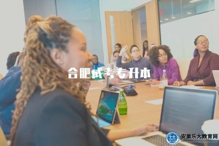合肥成考專升本（合肥地區成考專升本政策解讀）