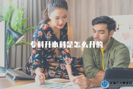 專科升本科是怎么升的（專業選擇和相關政策解讀）