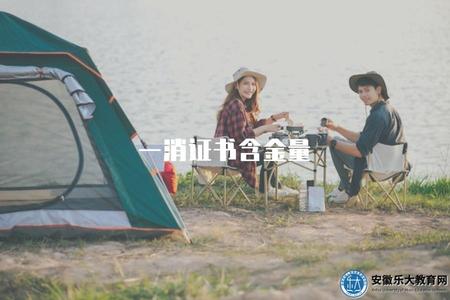 一消證書含金量（評估一消證書的就業前景）