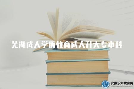 蕪湖成人學歷教育成人升大專本科（蕪湖成人學歷教育如何升大專本科學歷）