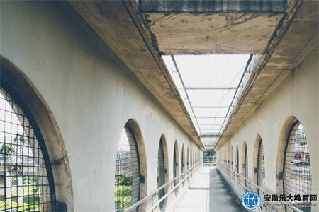 銅陵一級建造師多少年薪（新人約20萬看能力）