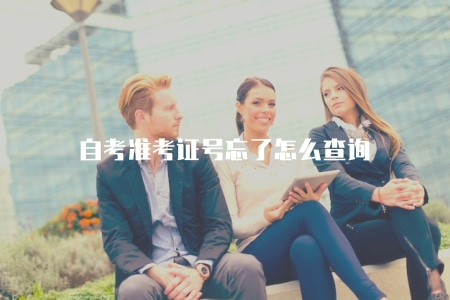 自考準考證號忘了怎么查詢(忘記自考準考證號碼如何查詢) 自考準考證號忘了怎么查詢(忘記自考準考證號碼如何查詢)