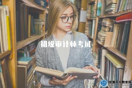 初級審計師考試（考試內容有筆試和口試）