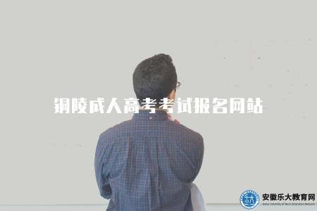 銅陵成人高考考試報名網站（銅陵市教育部門的官方網站）
