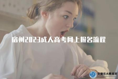 宿州2023成人高考網上報名流程（報名流程有9步）