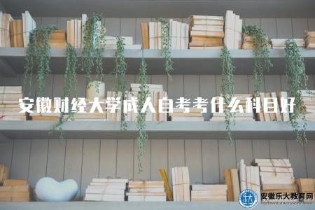 安徽財經大學成人自考考什么科目好（根據個人情況和目標進行合理的選擇）