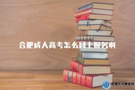合肥成人高考怎么網上報名啊(網上報名的7點步驟) 合肥成人高考怎么網上報名啊(網上報名的7點步驟)