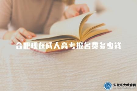 合肥現在成人高考報名費多少錢（120元每人）