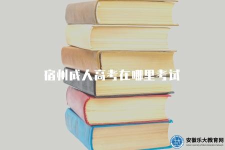 宿州成人高考在哪里考試（正常為市區中小學）
