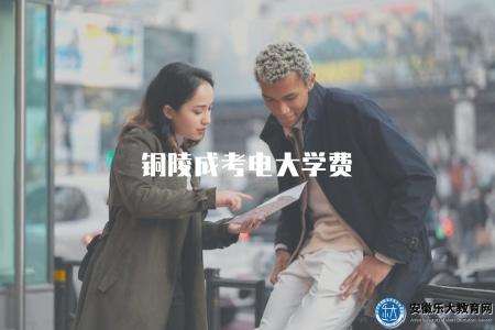 銅陵成考電大學費（了解銅陵成考電大學費情況）