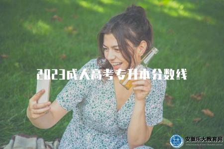 2023成人高考專升本分數線（2023年安徽省成人高考專升本考試分數線參考）