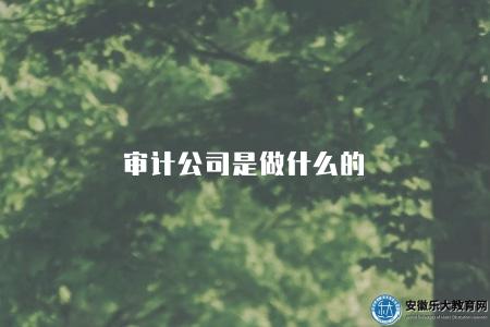 審計公司是做什么的(審計公司是干什么的) 審計公司是做什么的(審計公司是干什么的)
