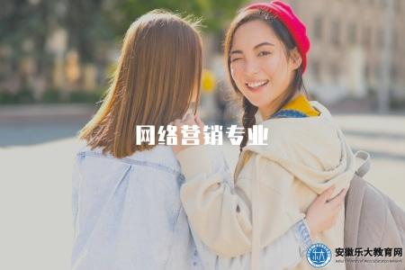 網絡營銷專業（如何在網絡營銷領域取得成功）