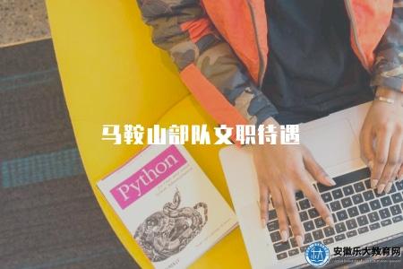 馬鞍山部隊文職待遇(一般按照國家公務員薪酬制度執行) 馬鞍山部隊文職待遇(一般按照國家公務員薪酬制度執行)