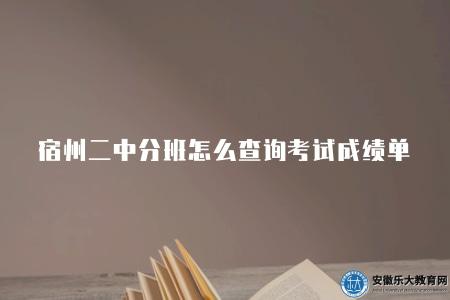宿州二中分班怎么查詢考試成績單（登錄學校官網）