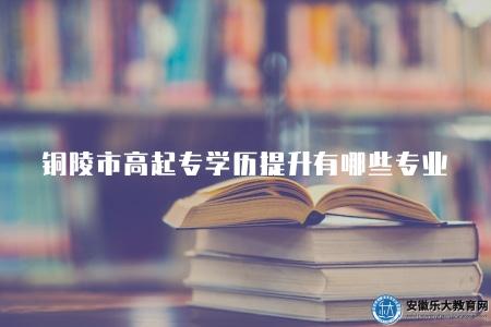 銅陵市高起專學歷提升有哪些專業（五類專業）