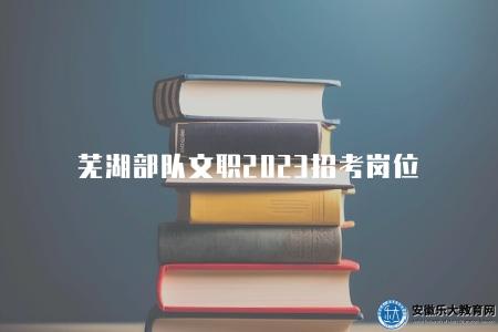 蕪湖部隊文職2023招考崗位（有五個崗位）