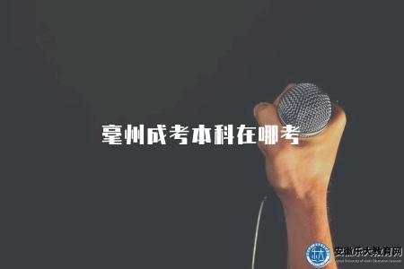 毫州成考本科在哪考（毫州2023成考本科考試地點）